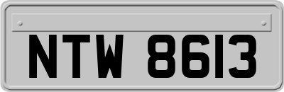 NTW8613