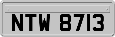 NTW8713
