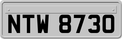 NTW8730