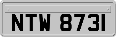 NTW8731