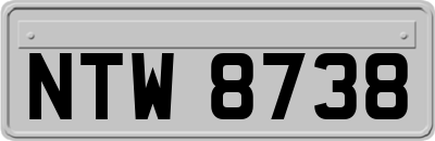 NTW8738