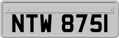 NTW8751