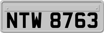 NTW8763