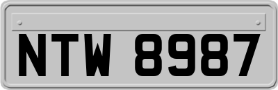 NTW8987