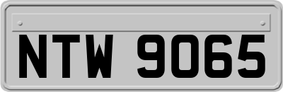 NTW9065