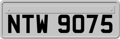 NTW9075