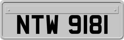 NTW9181