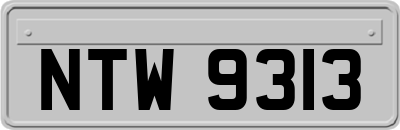 NTW9313