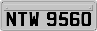 NTW9560