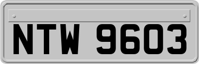NTW9603