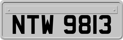 NTW9813
