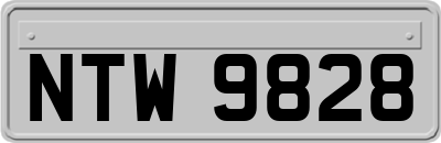 NTW9828