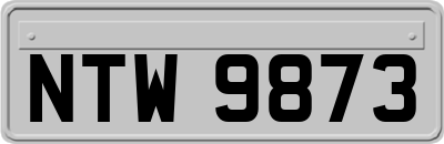 NTW9873
