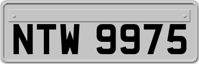 NTW9975