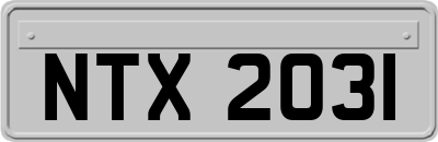 NTX2031