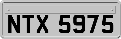 NTX5975