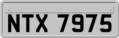 NTX7975