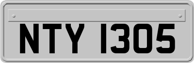 NTY1305