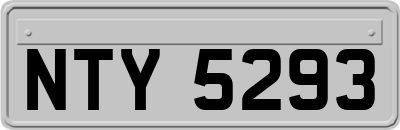 NTY5293