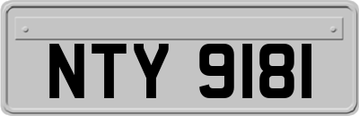 NTY9181