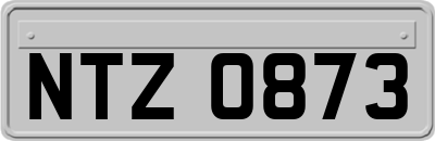 NTZ0873