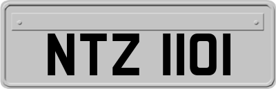 NTZ1101