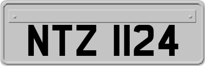 NTZ1124