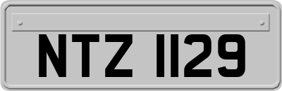NTZ1129