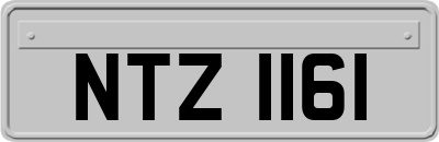 NTZ1161