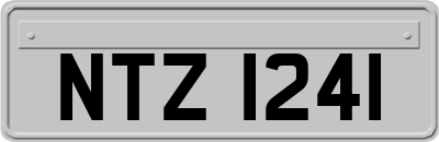 NTZ1241