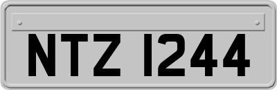 NTZ1244