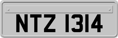 NTZ1314