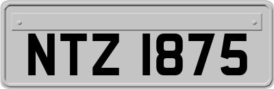 NTZ1875