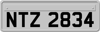 NTZ2834