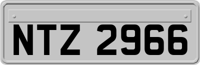 NTZ2966