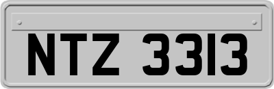 NTZ3313