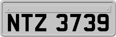 NTZ3739