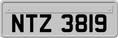 NTZ3819