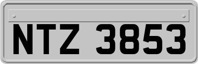 NTZ3853