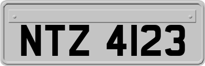 NTZ4123