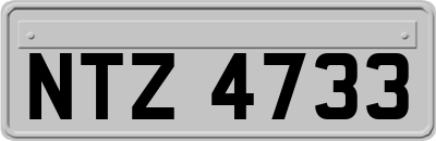 NTZ4733