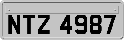 NTZ4987