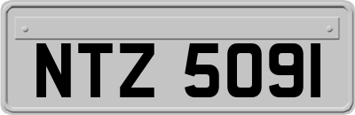 NTZ5091