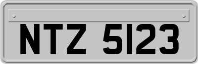 NTZ5123