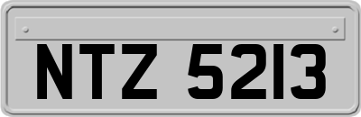 NTZ5213