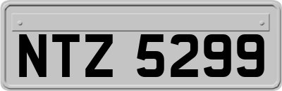 NTZ5299