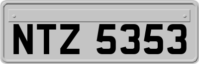 NTZ5353