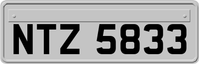 NTZ5833