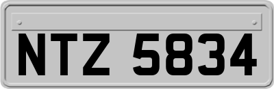 NTZ5834