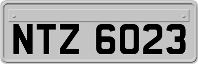 NTZ6023